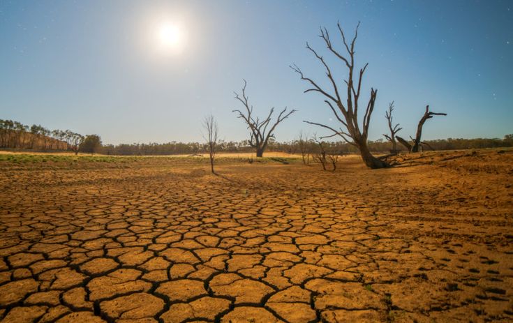 L'impact réel du changement climatique sur les rendements agricoles