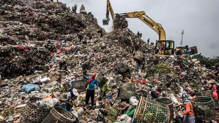 Les opportunités méconnues de la valorisation des déchets organiques
